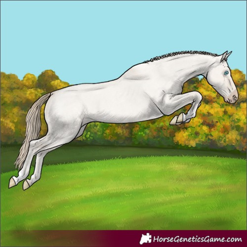 Horse Color:Smoky Creme Roan Dun 