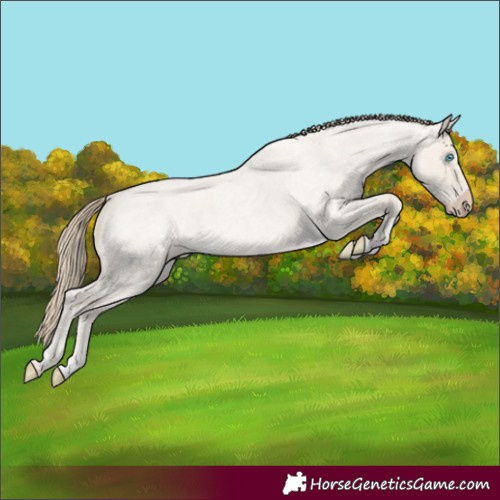 Horse Color:Smoky Creme Roan Dun