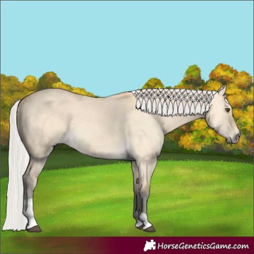 Horse Color:Silver Buckskin Dun Tobiano