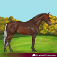Horse Color:Silver Brown