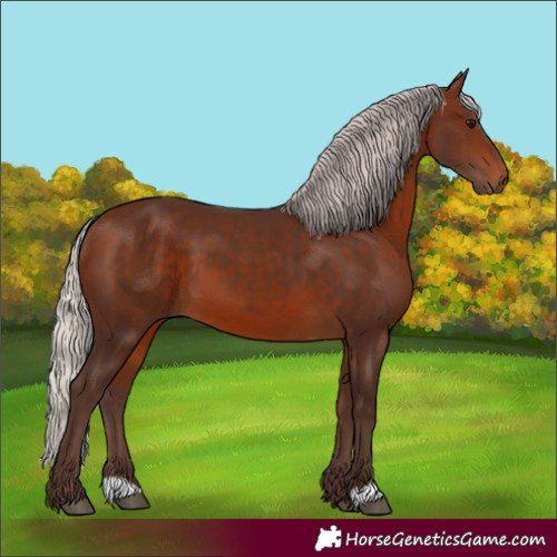 Horse Color:Silver Bay