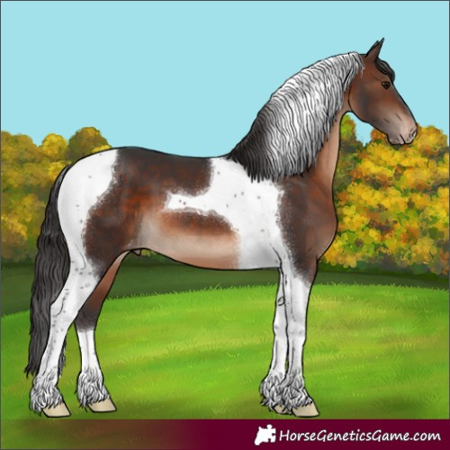 Horse Color:Brown Tobiano Varnish
