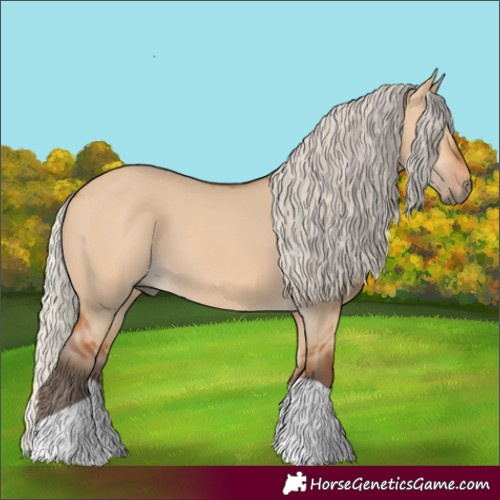 Horse Color:Silver Bay Dun