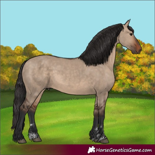 Horse Color:Brown Dun