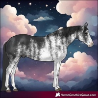 Horse Color:White Spotted Black 