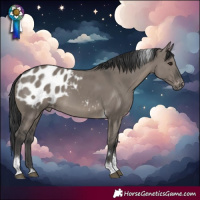Horse Color:Grullo Tobiano Blanket 