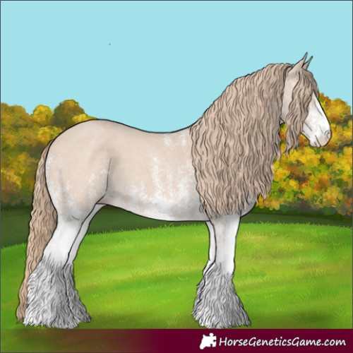 Horse Color:White Spotted Smoky Creme