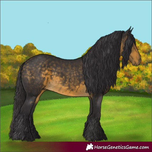 Horse Color:Buckskin 