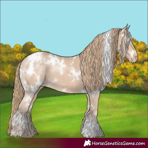 Horse Color:White Spotted Smoky Creme