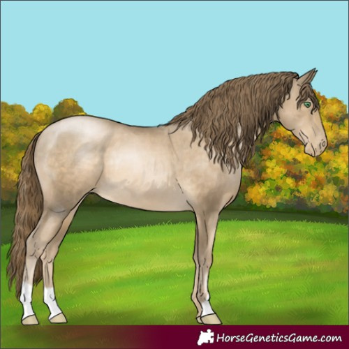 Horse Color:Smoky Black Pearl Rabicano