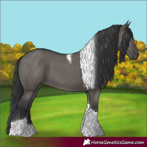 Horse Color:Grullo Tobiano