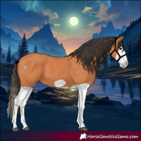 Horse Color:Bay Splash Frame