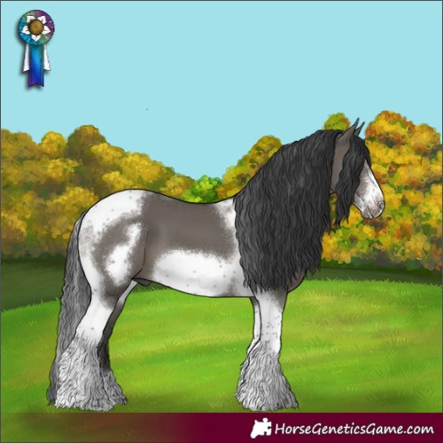 Horse Color:Grullo Tobiano Frame