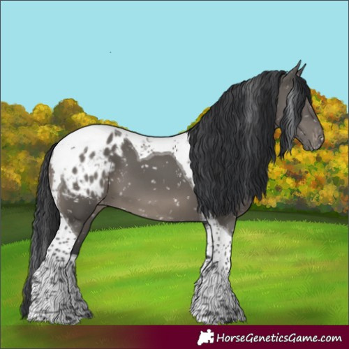 Horse Color:Grullo Tobiano Blanket 
