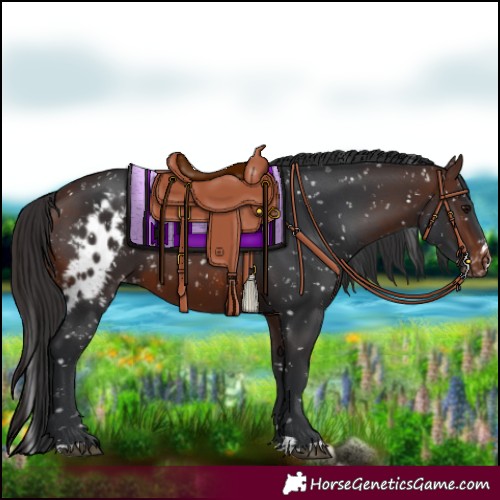 Horse Color:Brown Skewed LP Spotted 