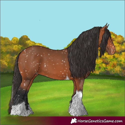 Horse Color:Bay Tobiano Skewed LP Spotted