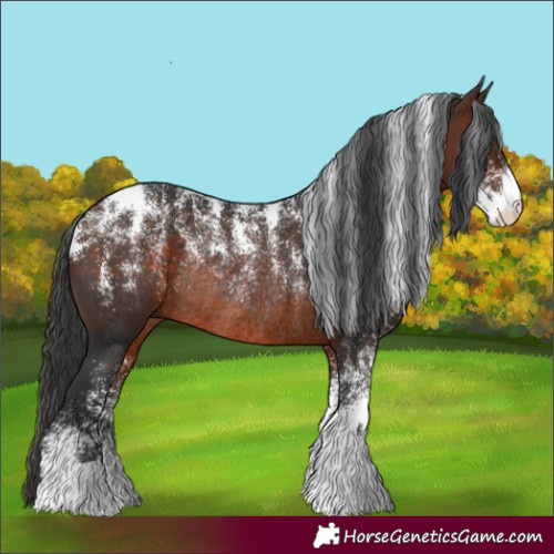 Horse Color:Powder White Brown Rabicano 