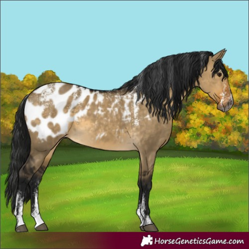 Horse Color:Powder White Gray Buckskin Dun Blanket 