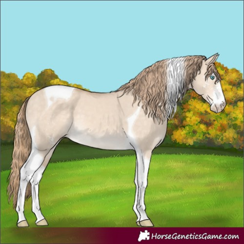 Horse Color:Perlino Dun Sabino Tobiano