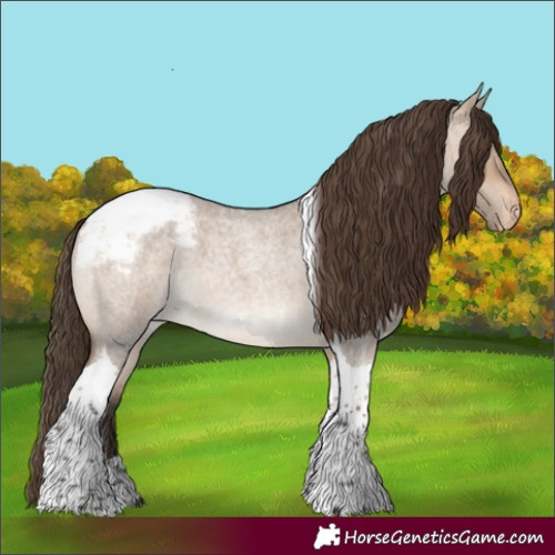 Horse Color:Bay Roan Dun Tobiano Snowcap