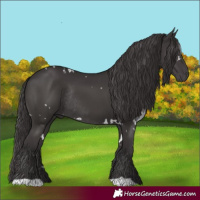 Horse Color:White Spotted Smoky Black Rabicano