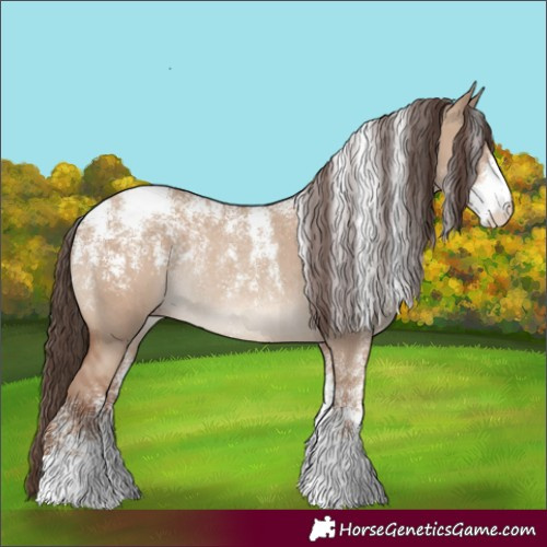 Horse Color:Powder White Classic Champagne Dun Rabicano