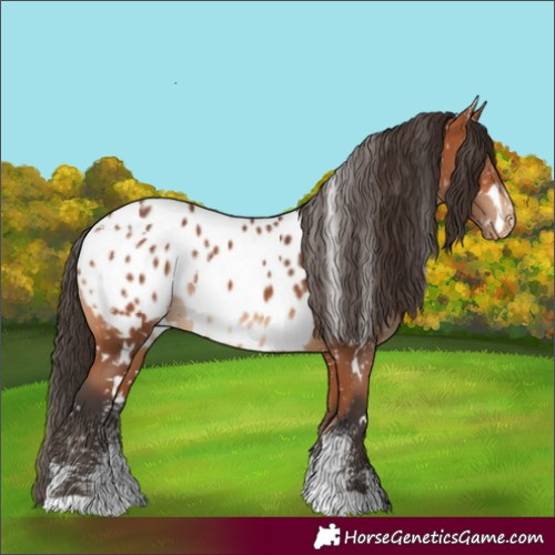 Horse Color:Powder White White Spotted Bay Near Leopard 