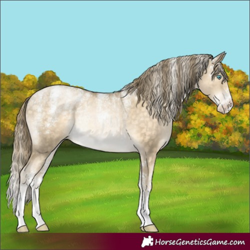 Horse Color:Powder White Buckskin Pearl Rabicano