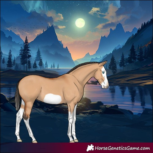Horse Color:Bay Dun Splash Frame