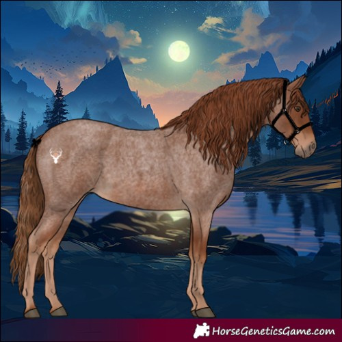 Horse Color:Red Roan