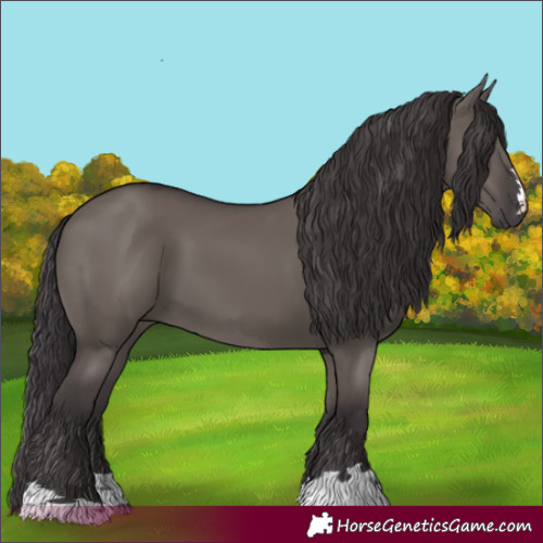 Horse Color:Smoky Grullo