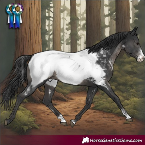 Horse Color:Black Sabino Snowcap Rabicano