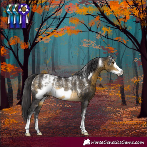 Horse Color:Powder White Buckskin Frame Rabicano