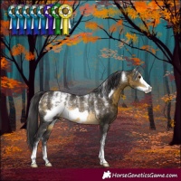 Horse Color:Powder White Buckskin Frame Rabicano