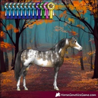 Horse Color:Powder White Buckskin Frame Rabicano