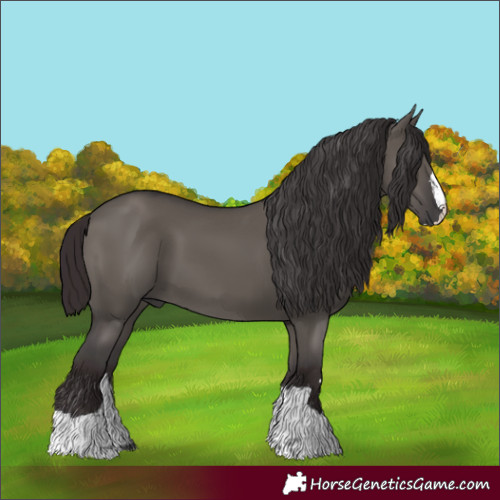 Horse Color:Smoky Grullo