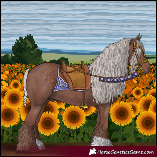 Horse Color:Silver Black