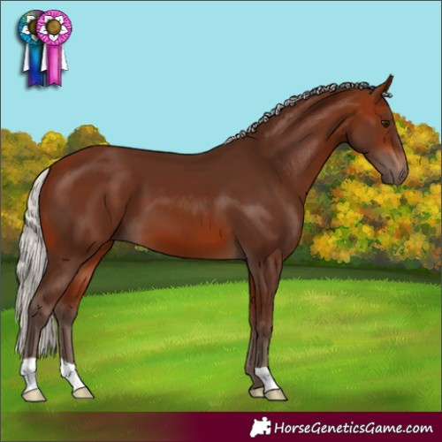 Horse Color:Silver Bay