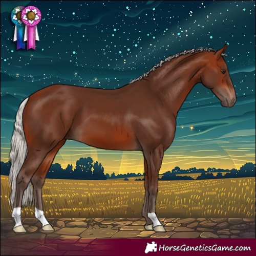 Horse Color:Silver Bay 