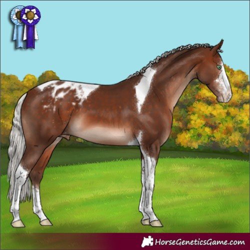 Horse Color:Silver Brown Mushroom Sabino Tobiano Varnish
