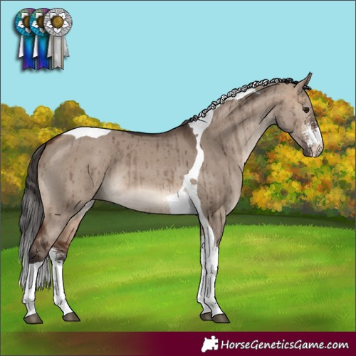 Horse Color:Bay Dun Mushroom Sabino Tobiano Brindle