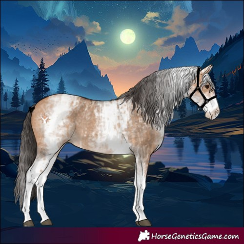 Horse Color:White Spotted Bay Dun Rabicano  and White Spotted Bay Dun Rabicano 