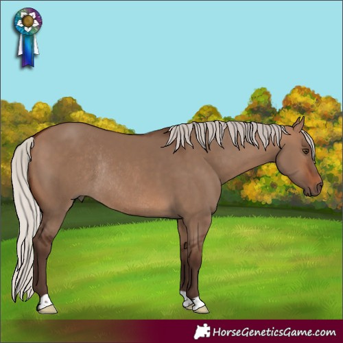 Horse Color:Silver Brown Dun Rabicano