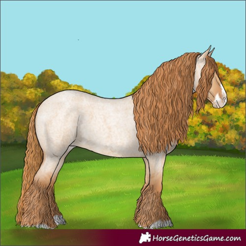 Horse Color:Red Dun Roan Splash Varnish