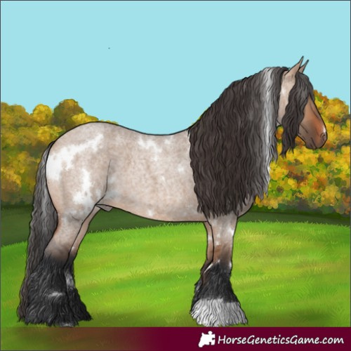 Horse Color:White Spotted Bay Roan Dun 