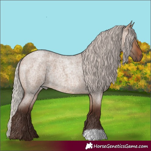 Horse Color:Silver Brown Roan Dun 