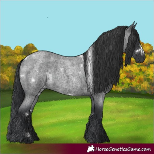 Horse Color:White Spotted Blue Roan 