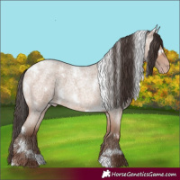 Horse Color:White Spotted Amber Champagne Roan