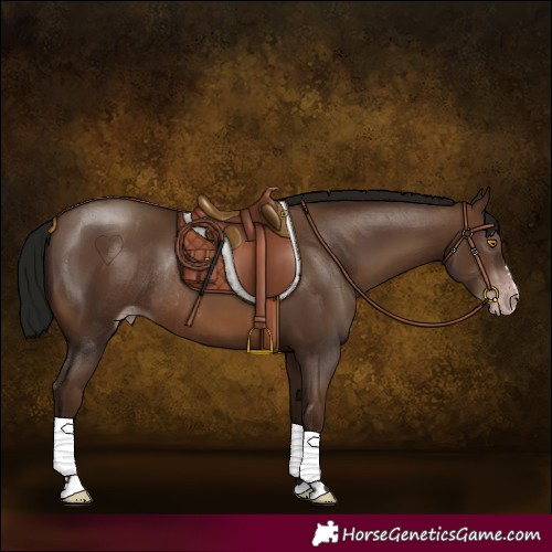Horse Color:Gray Sable Champagne Rabicano 