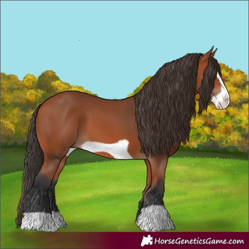 Horse Color:Bay Frame